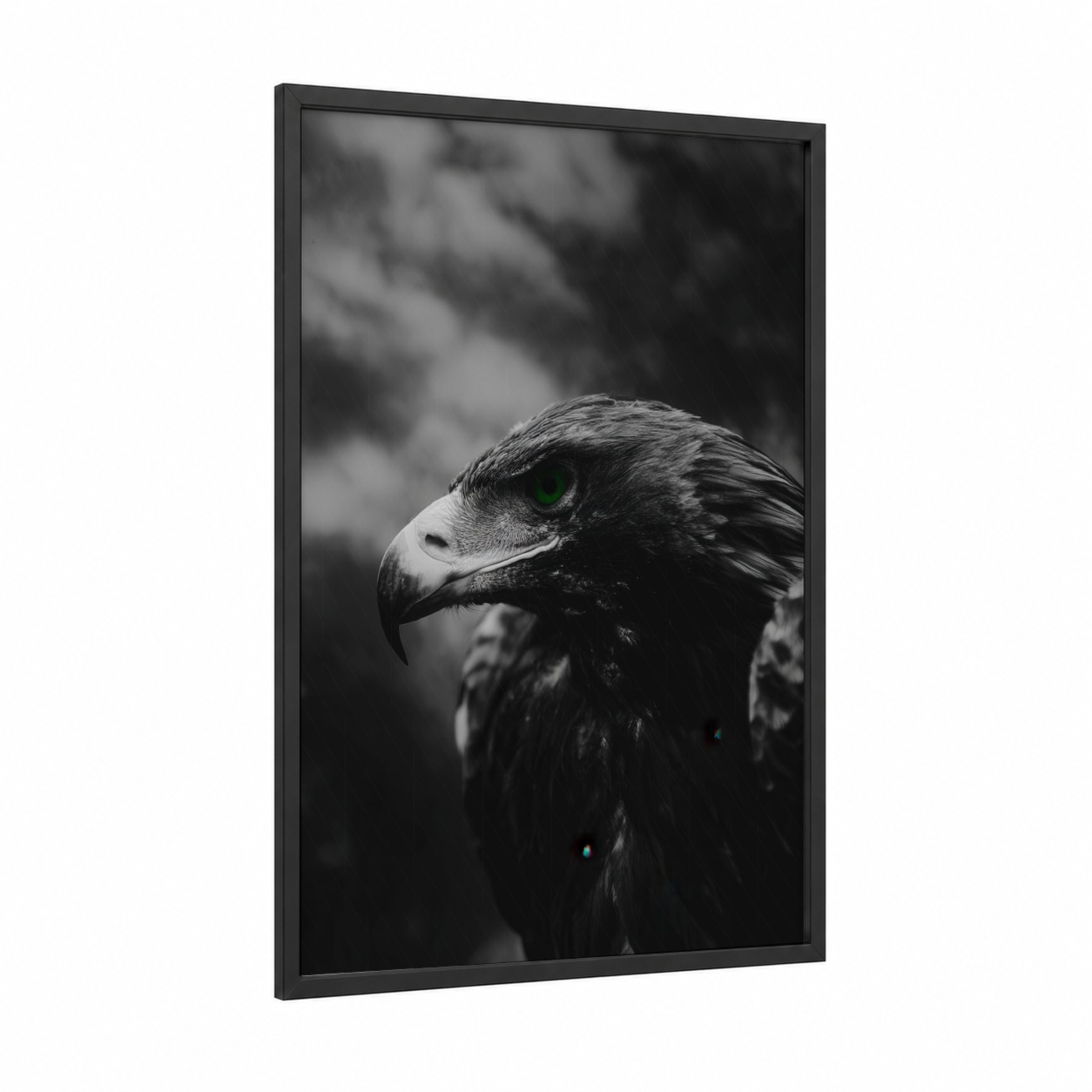 Emerald Gaze Eagle framed art print — black wood frame — black and white palette