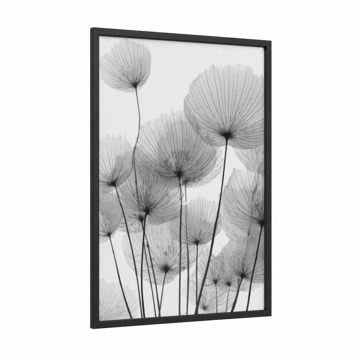 Delicate Dandelion framed art print — black wood frame — black and white and gray palette