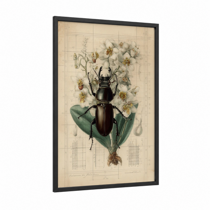 Stag Beetle Botanical framed art print — black wood frame — cream and sage green palette