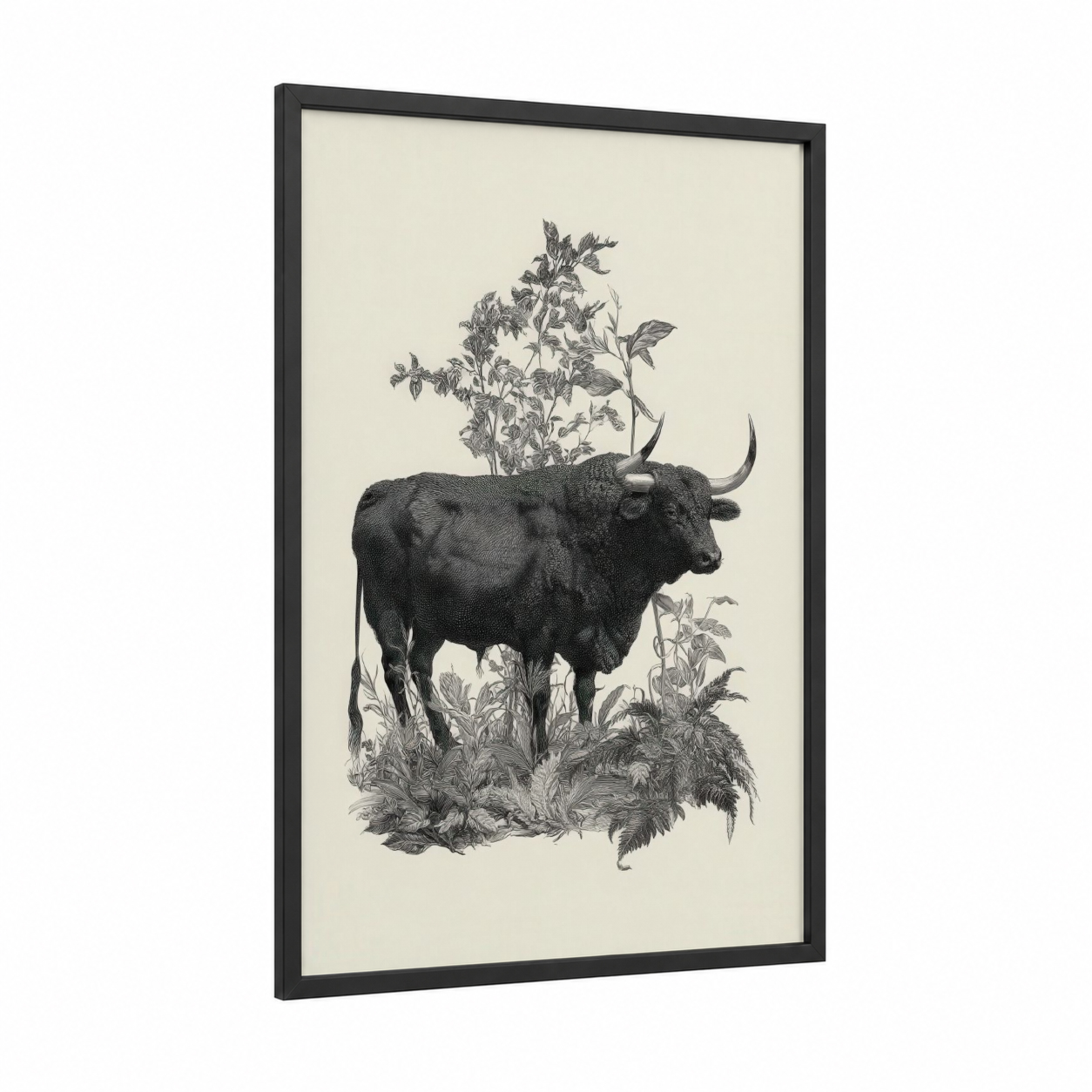 Garden Bull framed art print — black wood frame — black and white and cream palette