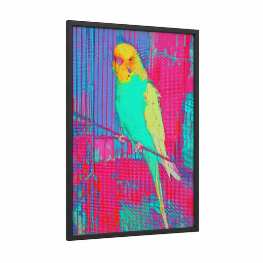 Neon Budgie Portrait framed budgeridar print — black wood frame — magenta and turquoise palette