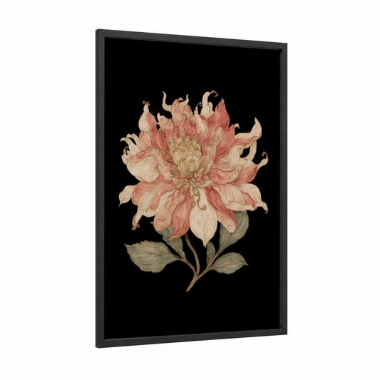 Coral Dahlia Bloom framed art print — black wood frame — salmon pink and cream palette