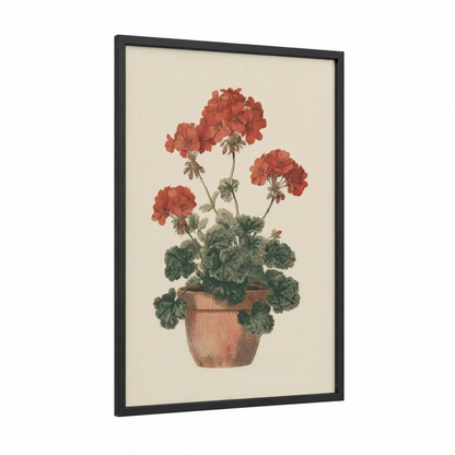 Potted Geranium framed art print — black wood frame — red and sage green palette