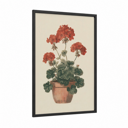 Potted Geranium framed art print — black wood frame — red and sage green palette