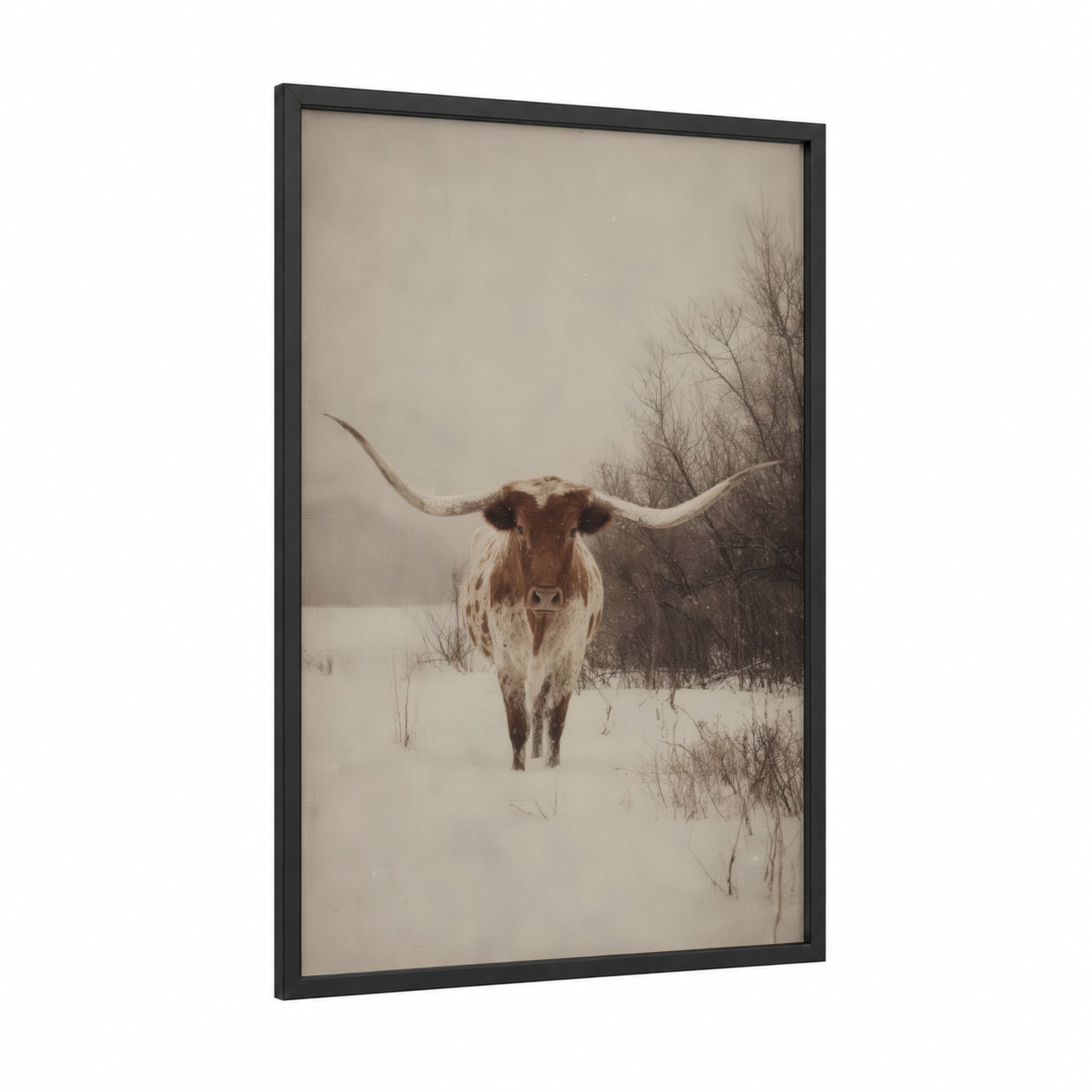 Snowy Longhorn framed longhorn cow print — black wood frame — beige and gray and white palette