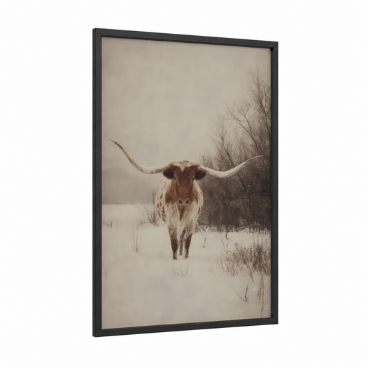 Snowy Longhorn framed longhorn cow print — black wood frame — beige and gray and white palette