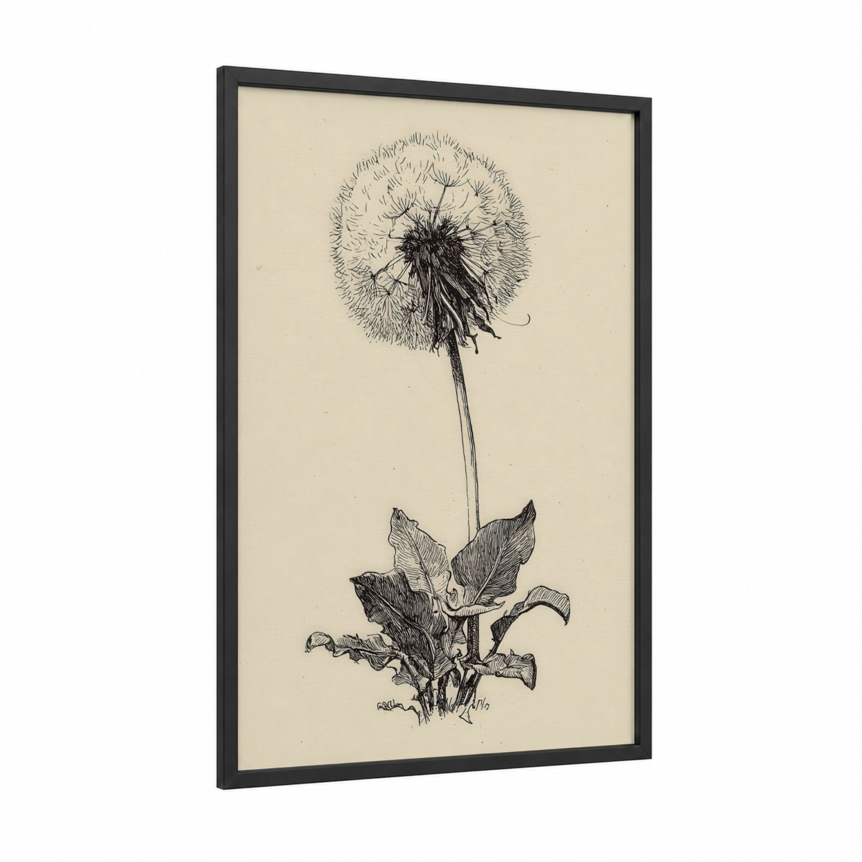 Delicate Dandelion framed art print — black wood frame — black and white and cream palette