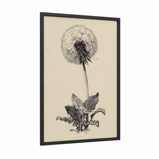 Delicate Dandelion framed art print — black wood frame — black and white and cream palette
