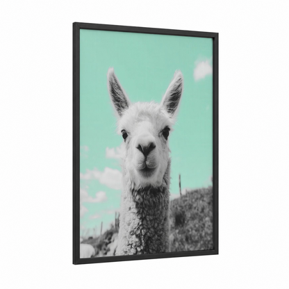 Turquoise Alpaca framed art print — black wood frame — turquoise and white palette