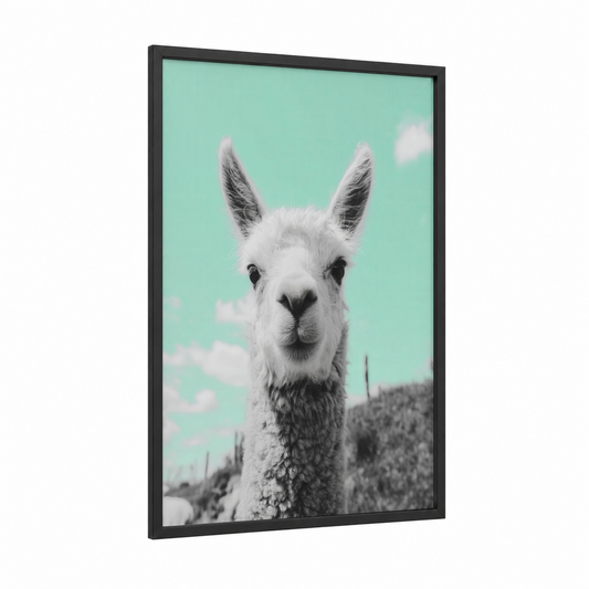 Turquoise Alpaca framed art print — black wood frame — turquoise and white palette