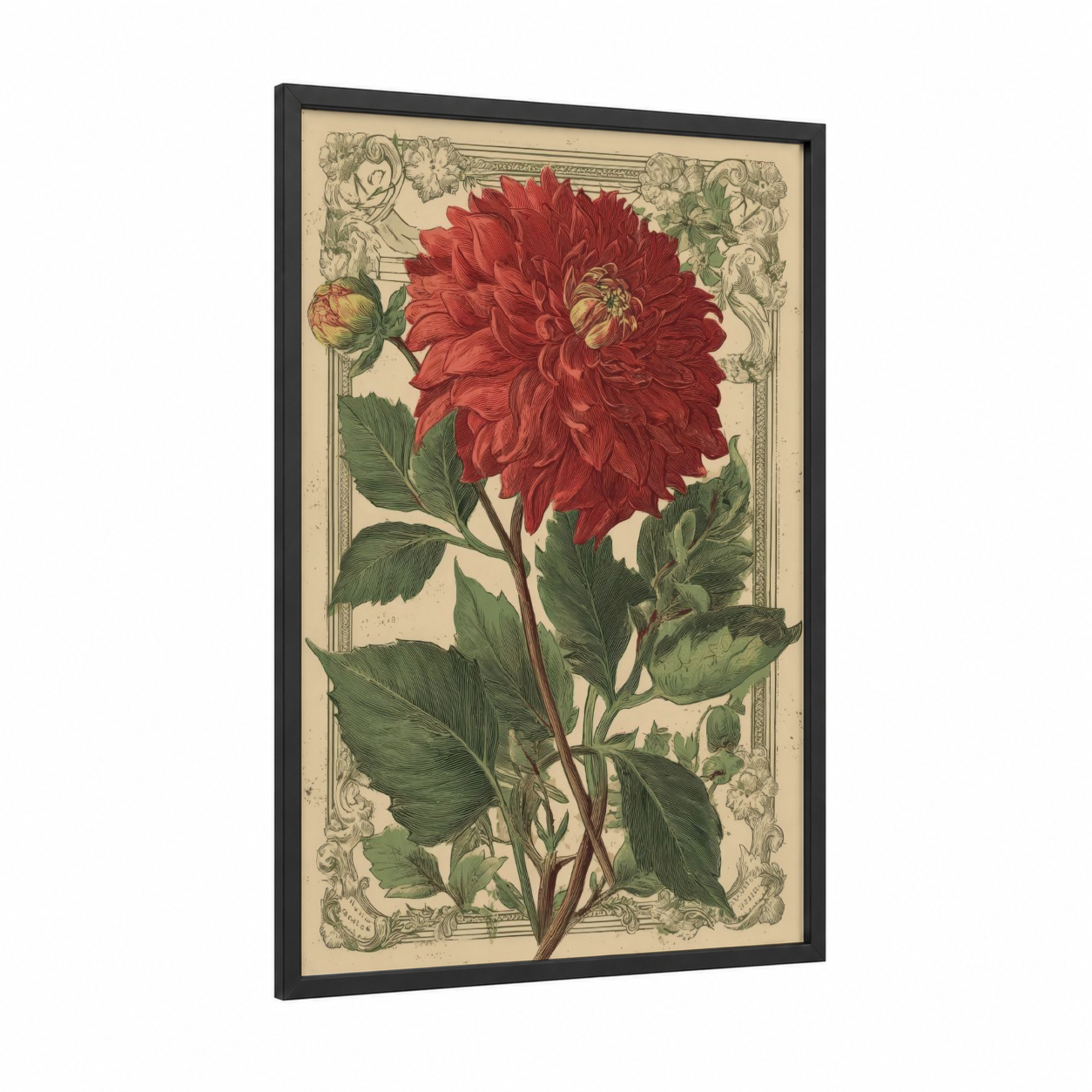Crimson Dahlia Study framed art print — black wood frame — red and dark green palette
