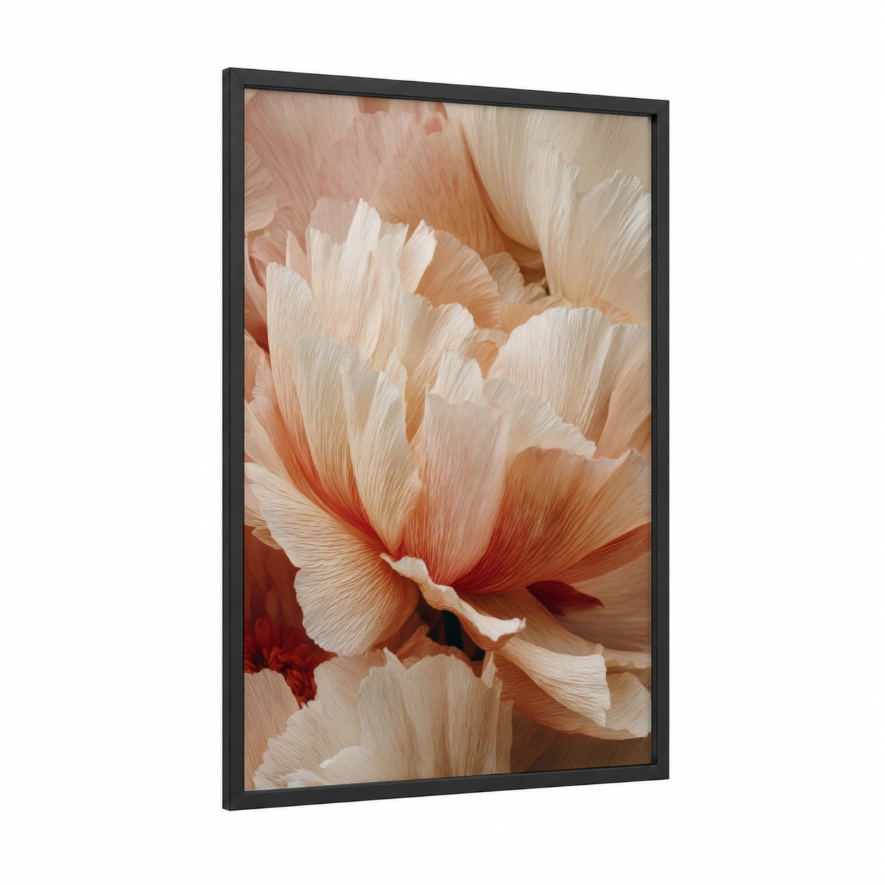 Cream Ranunculus framed art print — black wood frame — cream and peach palette