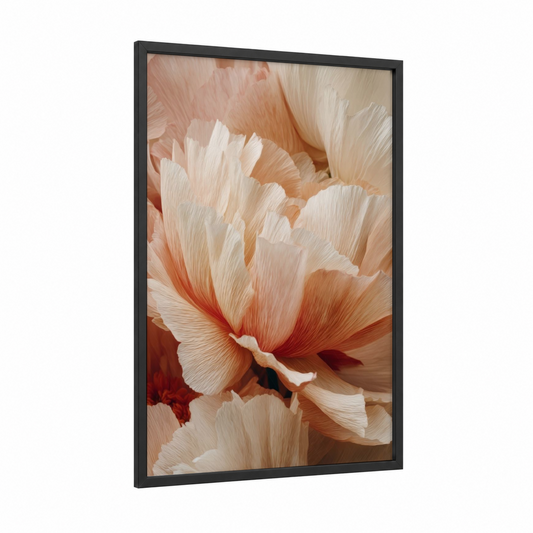 Cream Ranunculus framed art print — black wood frame — cream and peach palette