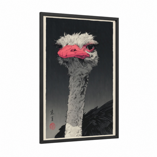 Pink-Faced Ostrich framed art print — black wood frame — black and white and magenta palette