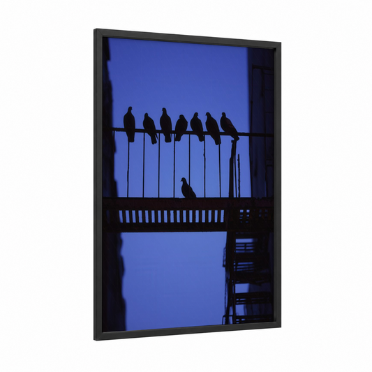 Urban Pigeons Gathering framed art print — black wood frame — blue and black palette