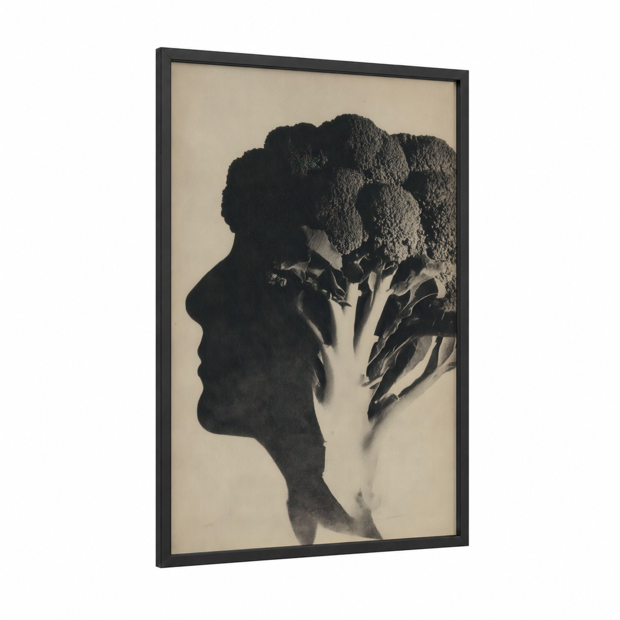Broccoli Profile framed vegetable print — black wood frame — black and white palette