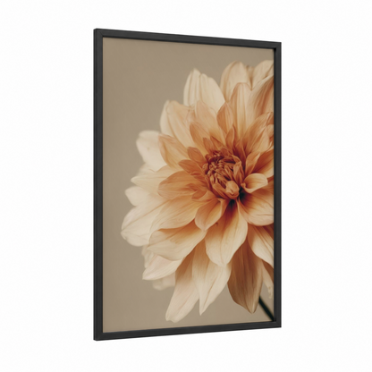 Peachy Dahlia framed art print — black wood frame — peach and beige palette