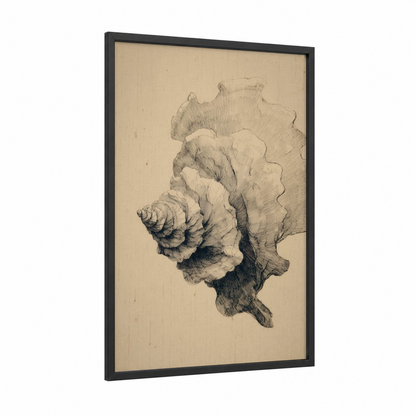 Detailed Oyster Shell framed art print — black wood frame — black and white and cream palette