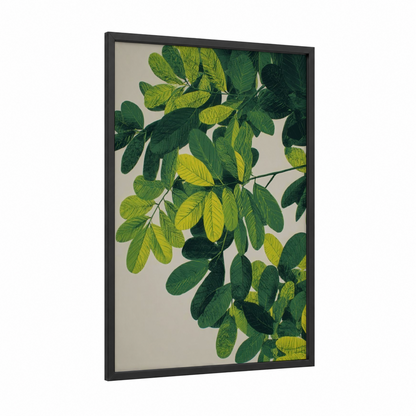 Sunlit Kauri Leaves framed kauri tree print — black wood frame — light green and true green palette