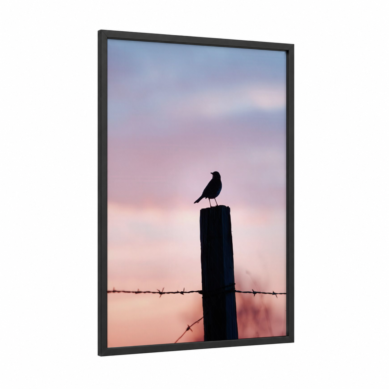 Dusk Thrush Perch framed art print — black wood frame — pink and blue palette