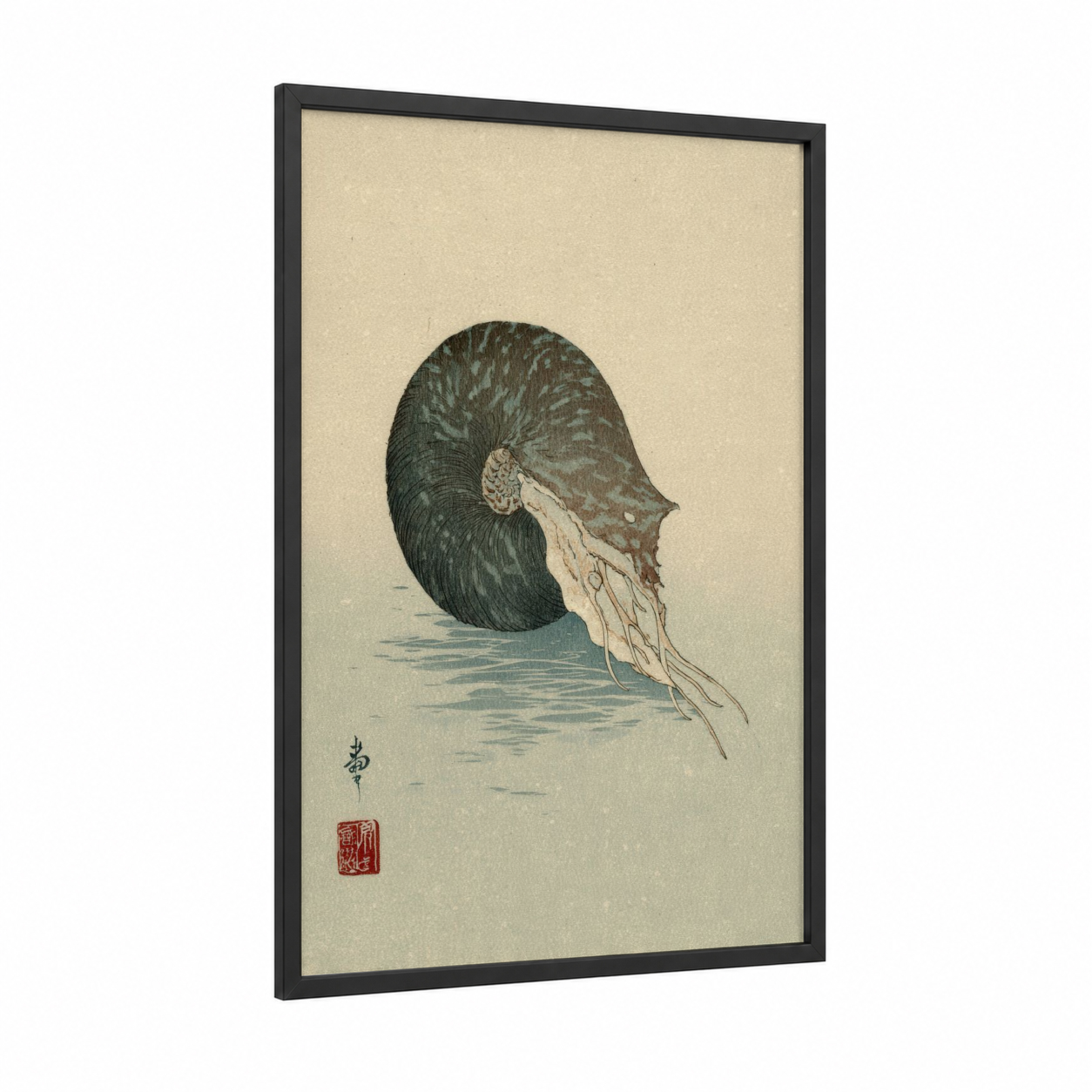 Drifting Nautilus framed art print — black wood frame — dark green and blue and white palette