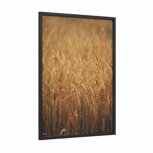 Golden Grain Field framed art print — black wood frame — gold and brown palette