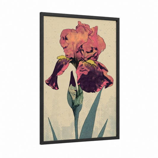 Vintage Iris Bloom framed art print — black wood frame — magenta and sage green palette