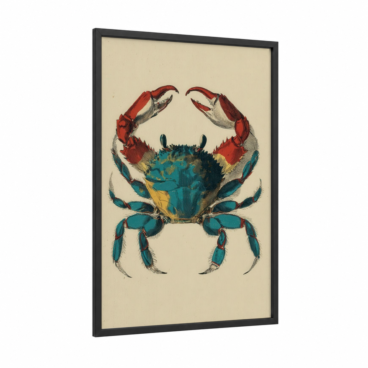 Blue Crab Study framed art print — black wood frame — teal and red palette