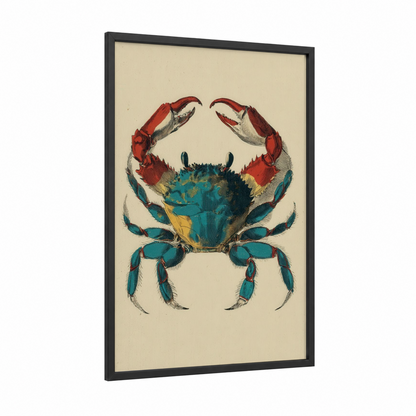 Blue Crab Study framed art print — black wood frame — teal and red palette
