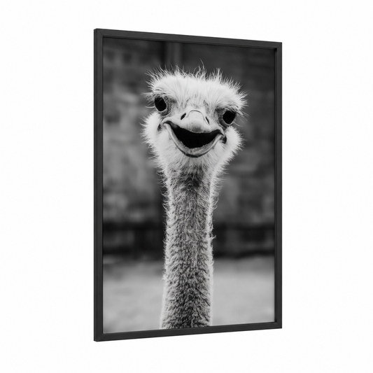 Smiling Ostrich framed art print — black wood frame — black and white palette