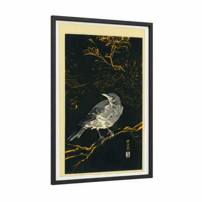 Golden Thrush framed art print — black wood frame — black and gold palette