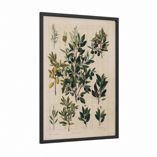Olive Tree Botanical framed art print — black wood frame — green and cream palette