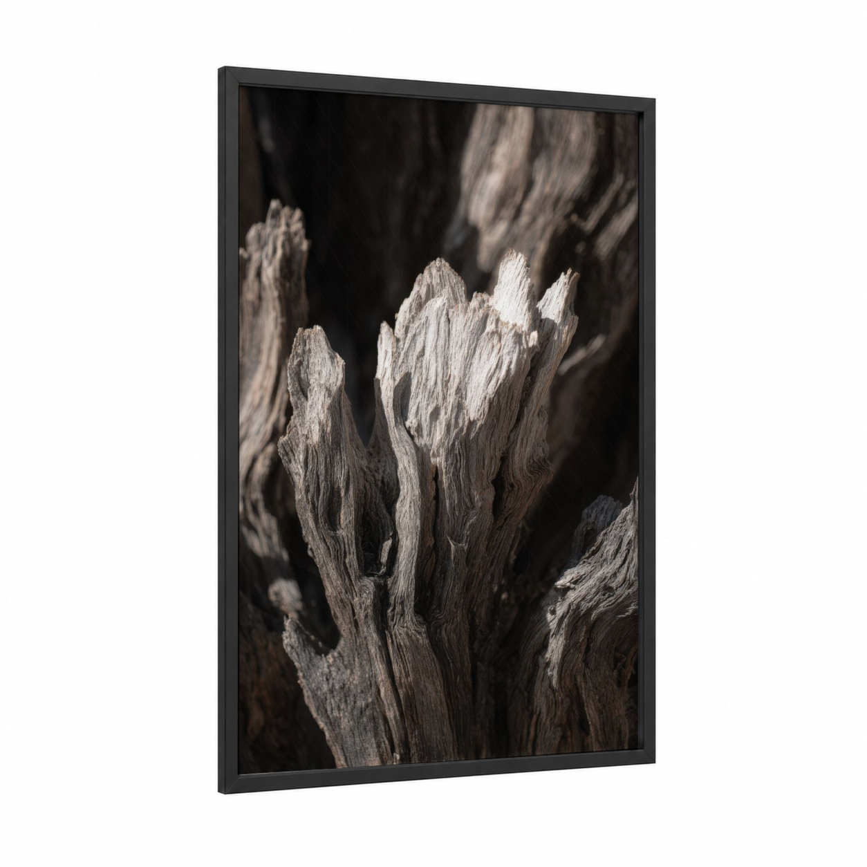 Weathered Desert Bark framed savanna and desert trees print — black wood frame — black and white and gray palette