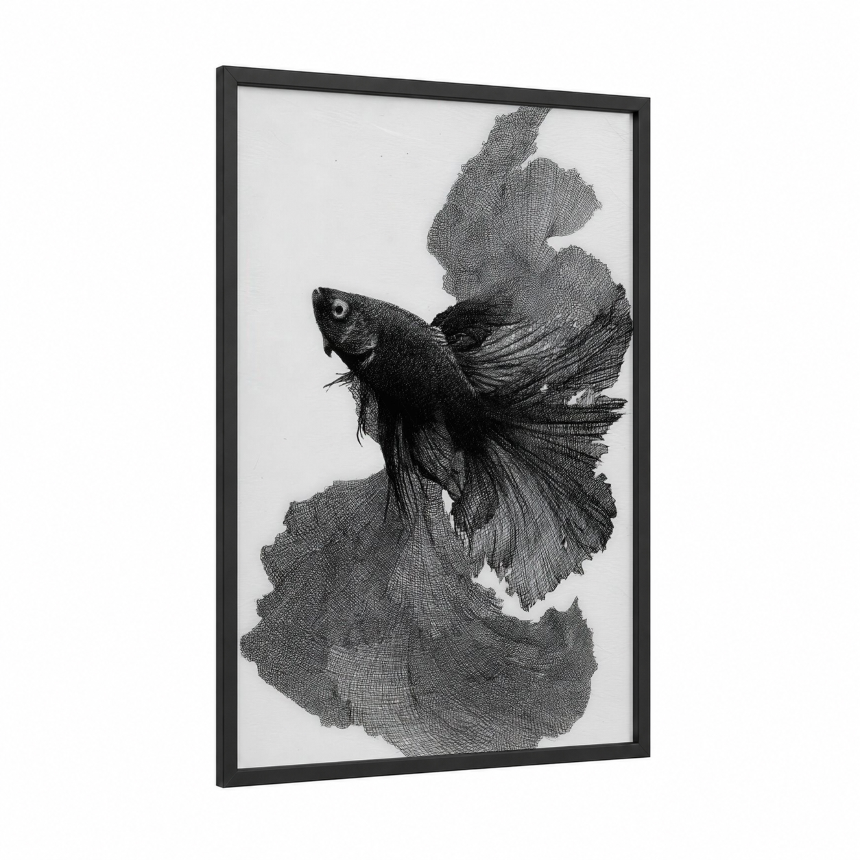 Flowing Betta Fish framed fighting fish print — black wood frame — black and white palette