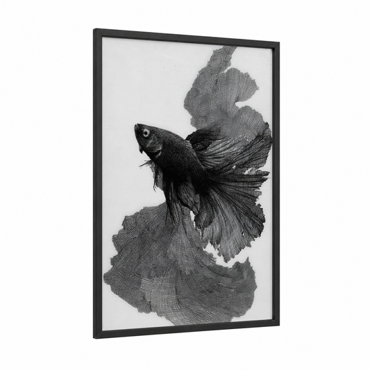 Flowing Betta Fish framed fighting fish print — black wood frame — black and white palette