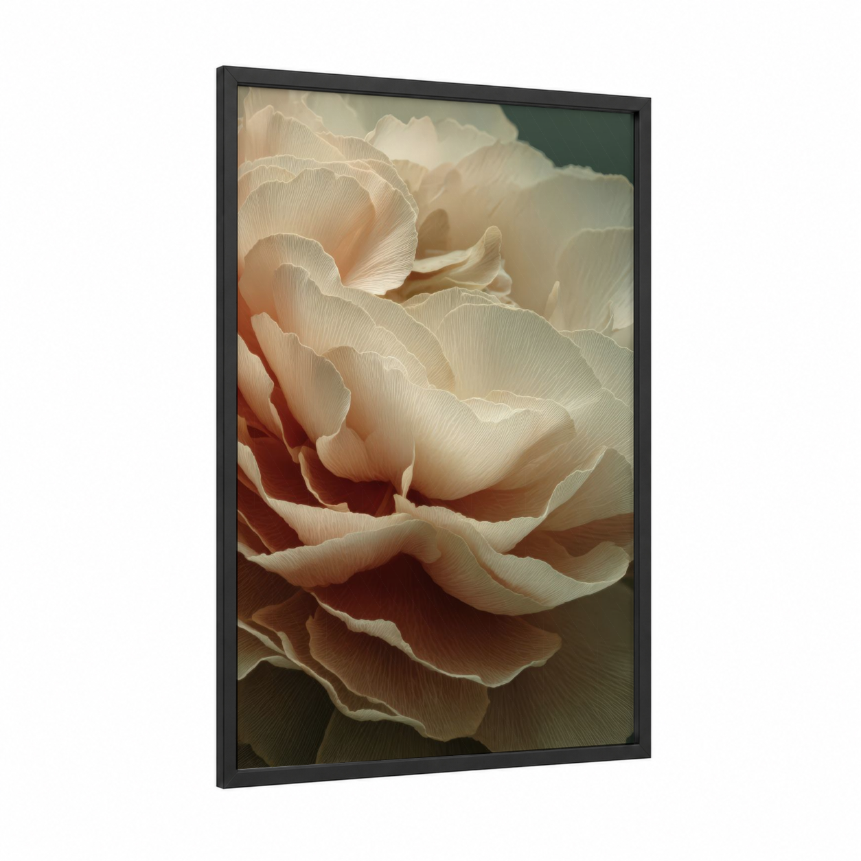 Cream Ranunculus framed art print — black wood frame — cream and peach palette