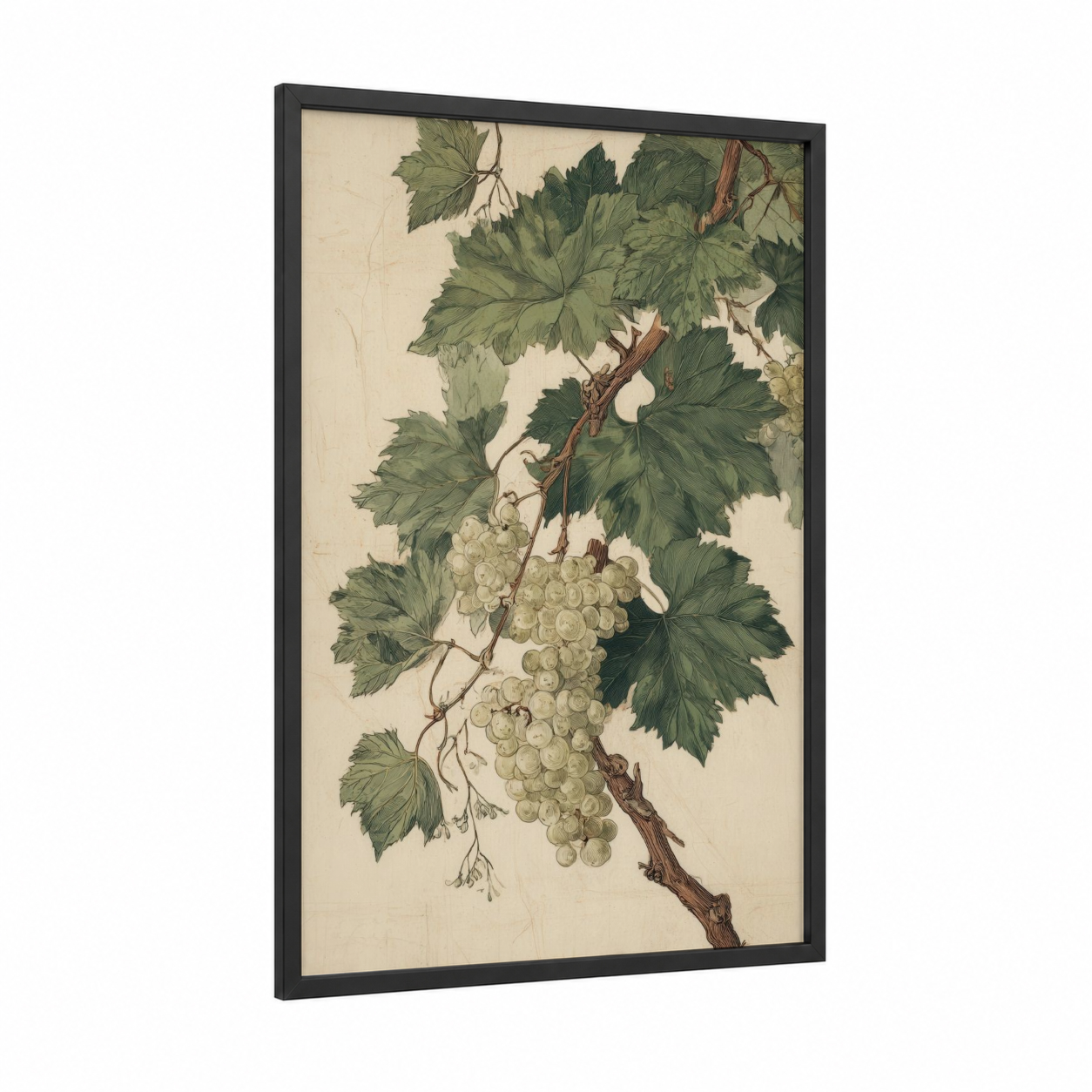 White Grape Vine framed vineyards print — black wood frame — cream and dark green palette