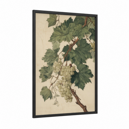 White Grape Vine framed vineyards print — black wood frame — cream and dark green palette
