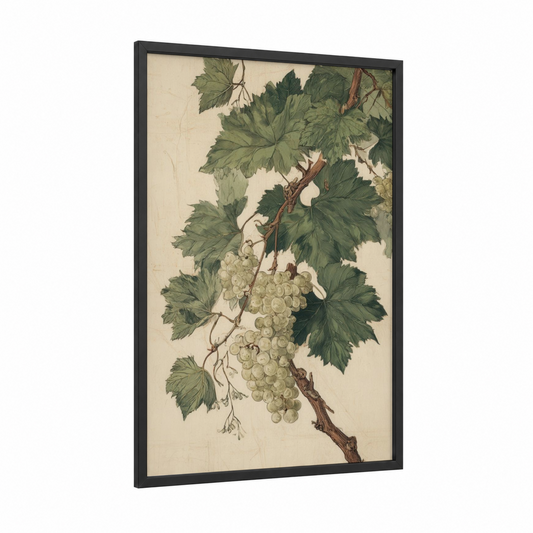 White Grape Vine framed vineyards print — black wood frame — cream and dark green palette