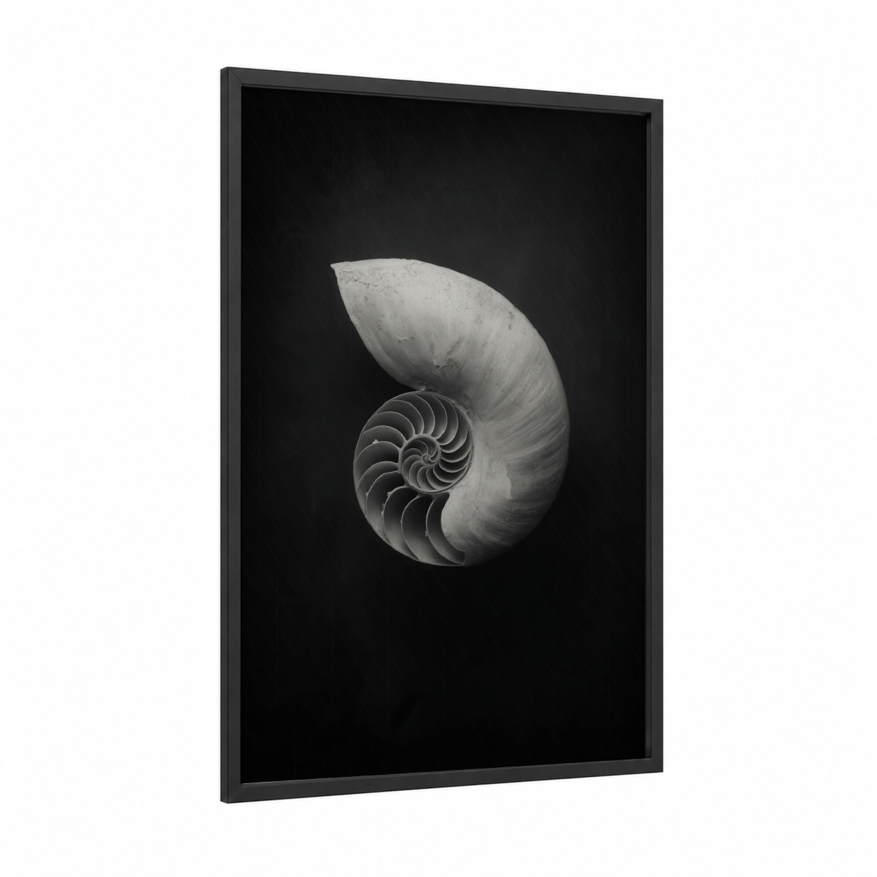 Spiral Nautilus framed art print — black wood frame — black and white and gray palette