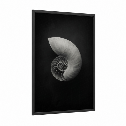 Spiral Nautilus framed art print — black wood frame — black and white and gray palette