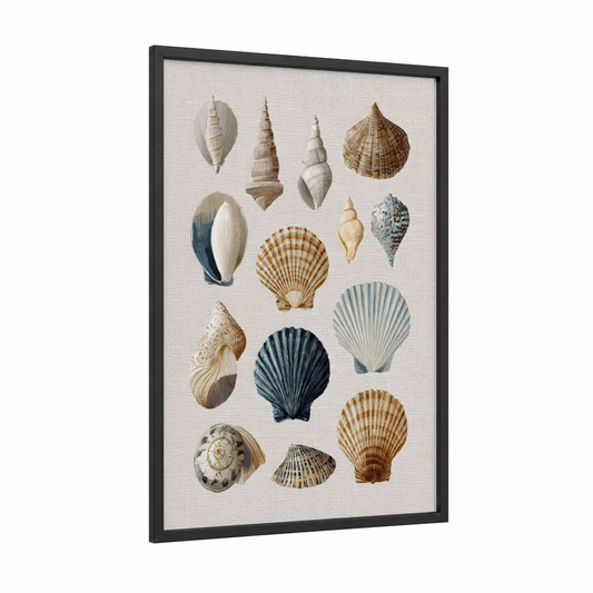 Vintage Seashell Collection framed art print — black wood frame — cream palette