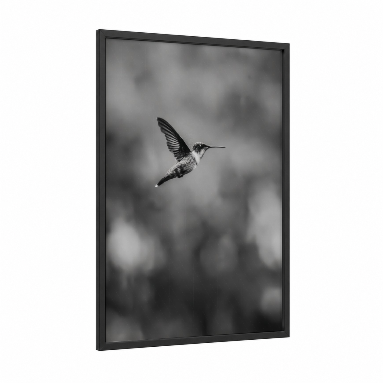 Hovering Hummingbird framed art print — black wood frame — black and white palette