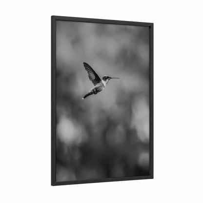Hovering Hummingbird framed art print — black wood frame — black and white palette
