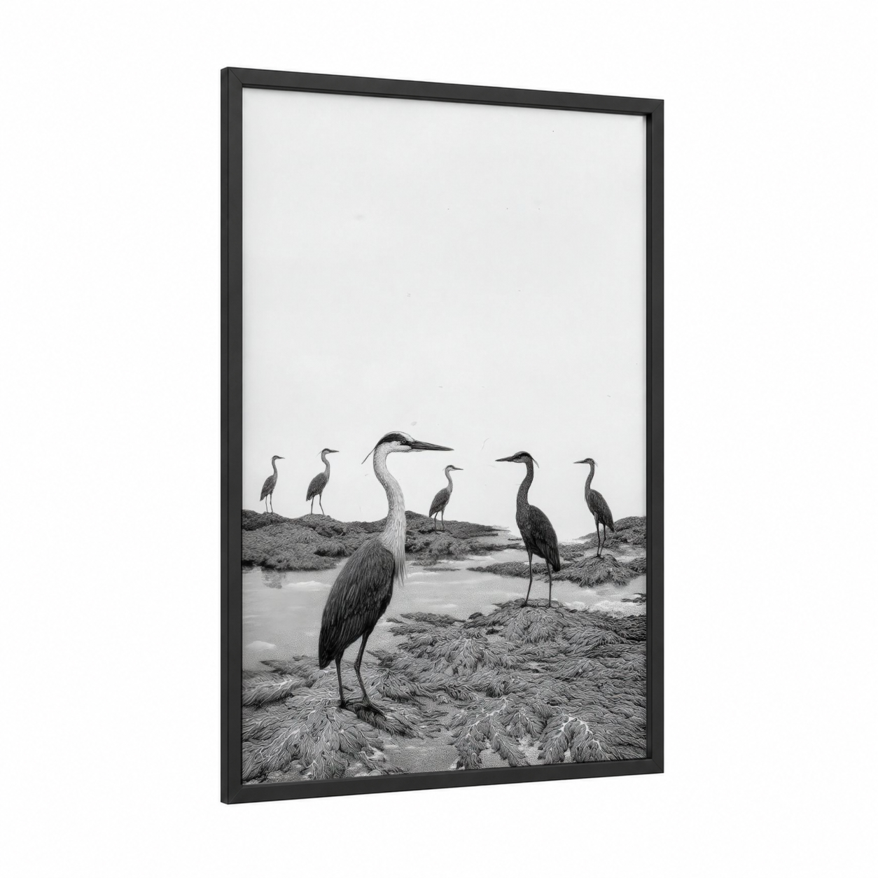 Wetland Herons framed art print — black wood frame — black and white palette