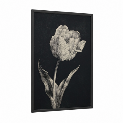Ivory Tulip Study framed art print — black wood frame — black and white palette