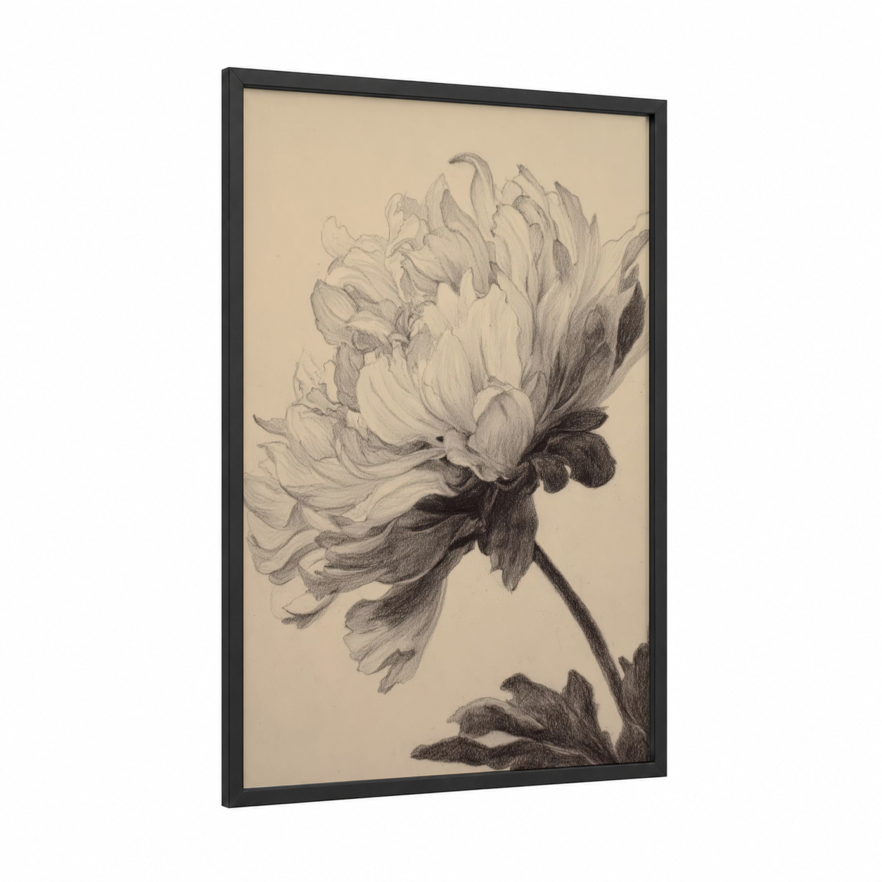 Graceful Chrysanthemum framed art print — black wood frame — black and white and cream palette