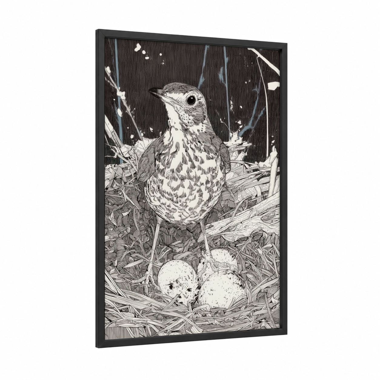 Nesting Thrush framed art print — black wood frame — black and white palette