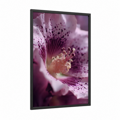Mauve Cherry Blossom framed cherry blossoms print — black wood frame — magenta and cream palette