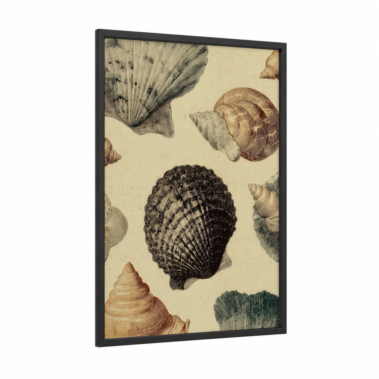 Vintage Seashell Study framed art print — black wood frame — cream and brown palette